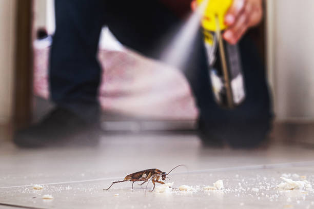 Best Pest Inspection Near Me  in Post Falls, ID